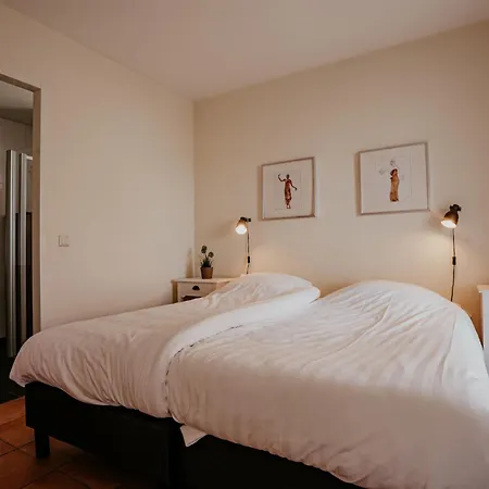 Westergeest 2 By Interhome Prázdninový areál